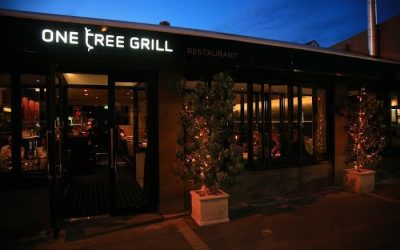 One Tree Grill